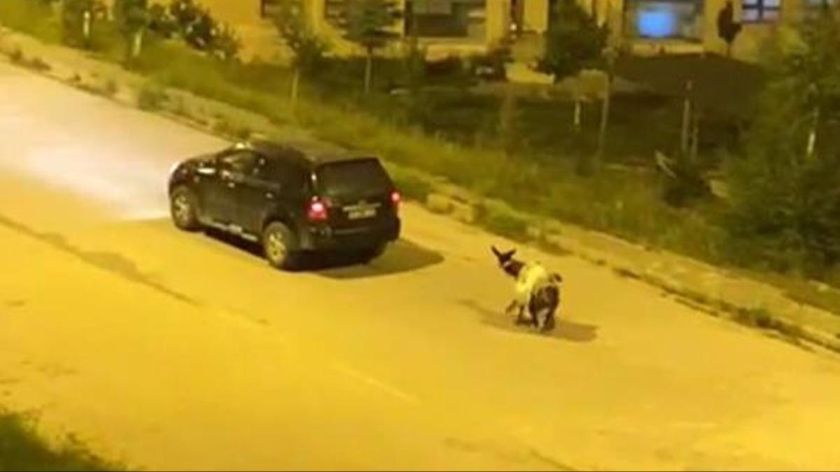 Tepki eken grnt! Eei arabaya balayp, zorla srklediler  