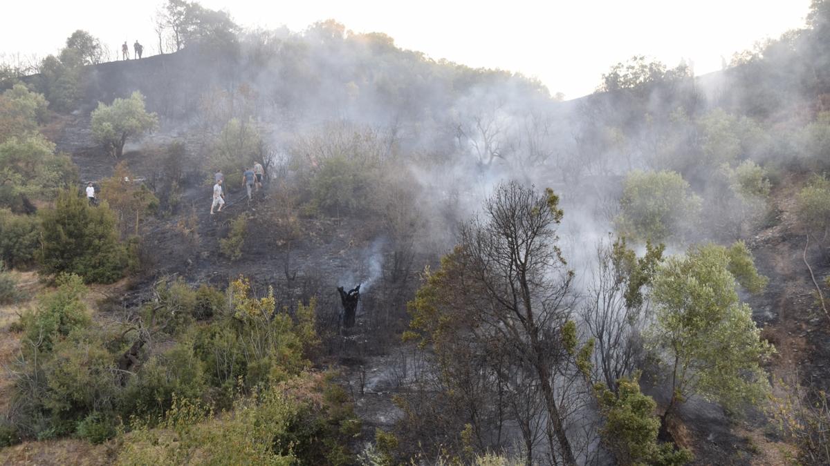 Manisa'da makilik alandaki yangn kontrol altna alnd