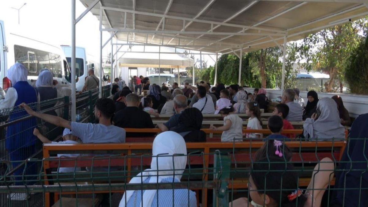 Trkiye'de bydler, Suriye'ye umutla gidiyorlar: Gnll dnlerde younluk