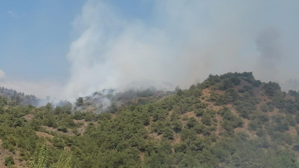 Tokat'ta orman yangn: Mdahale balad 