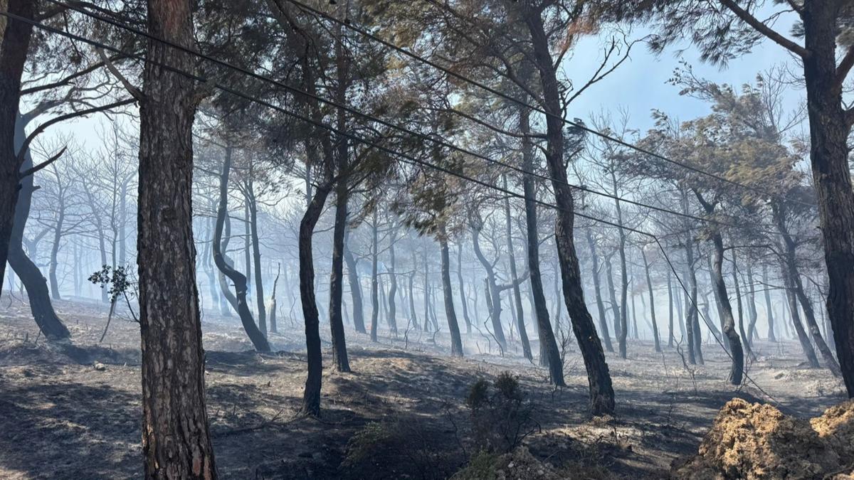 Tarm ve Orman Bakanl'ndan orman yangnlarna ilikin aklama