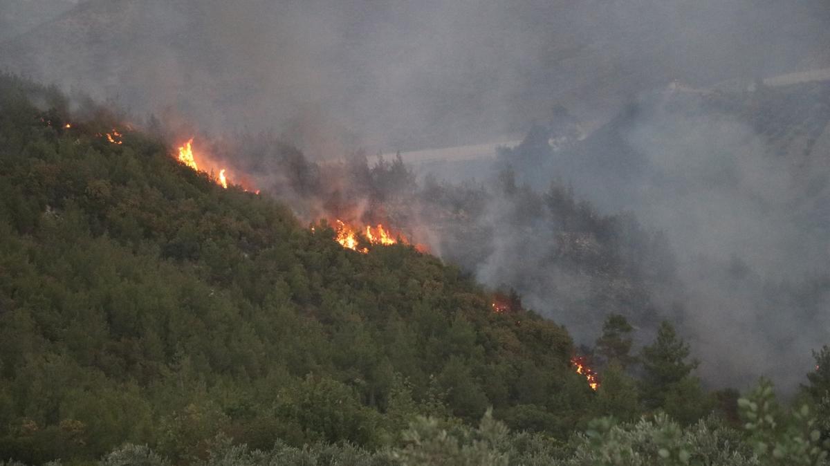 Hatay'daki yangn kontrol altnda 