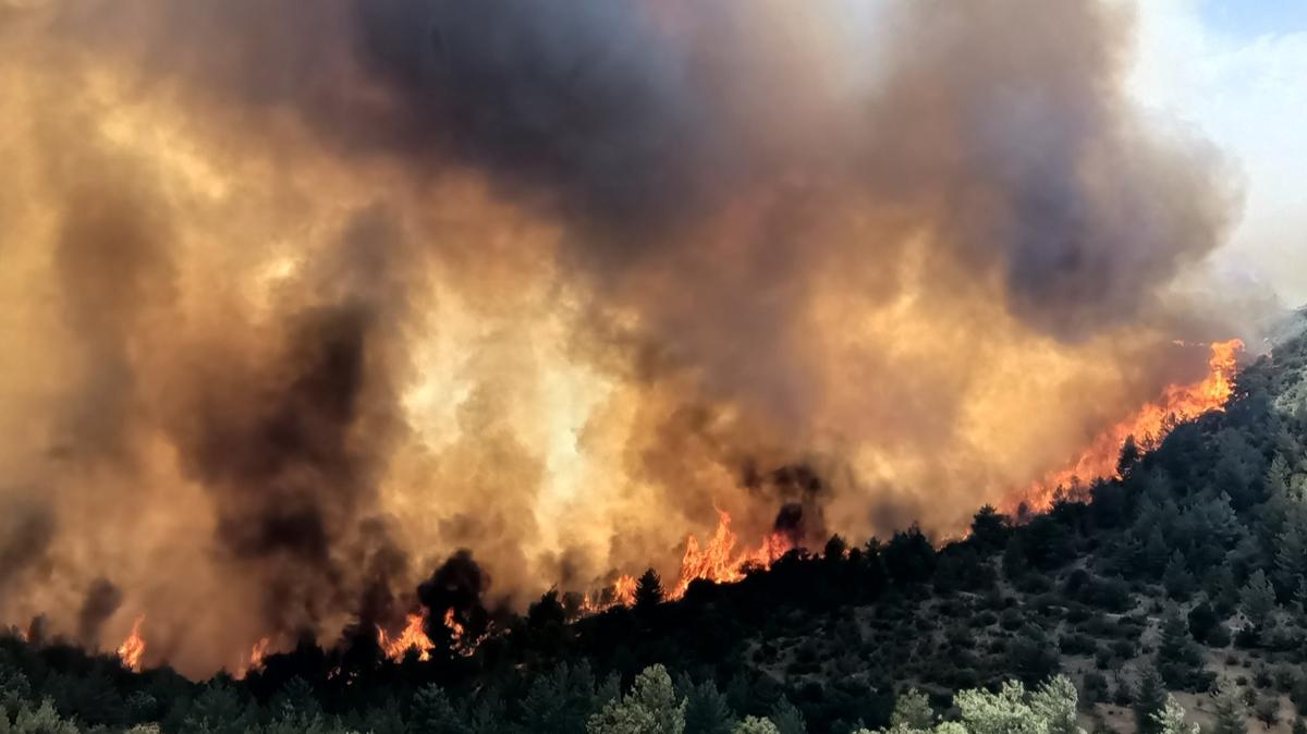 Mersin'de yangn alarm! Mdahale balad
