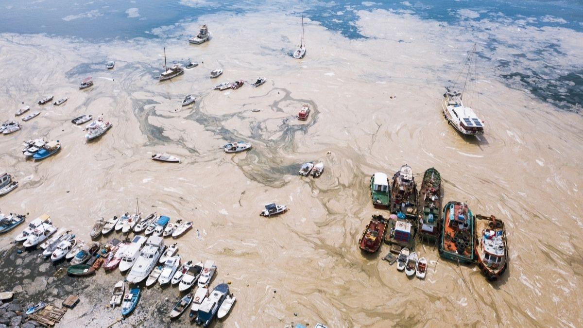 822 milyonluk evre cezasyla msilajla mcadelede rekor! Onlarca tesis kapatld