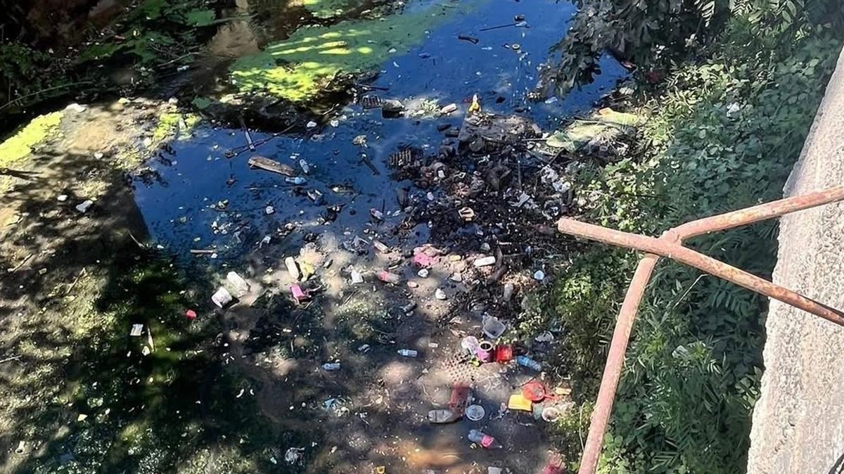 Dereye atlan pler mahalleliyi bezdirdi 