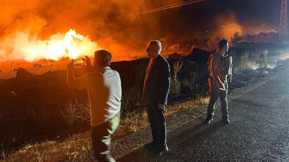 Diyarbakr Lice'de orman yangn: Alevler yerleim alanlarna yaklayor