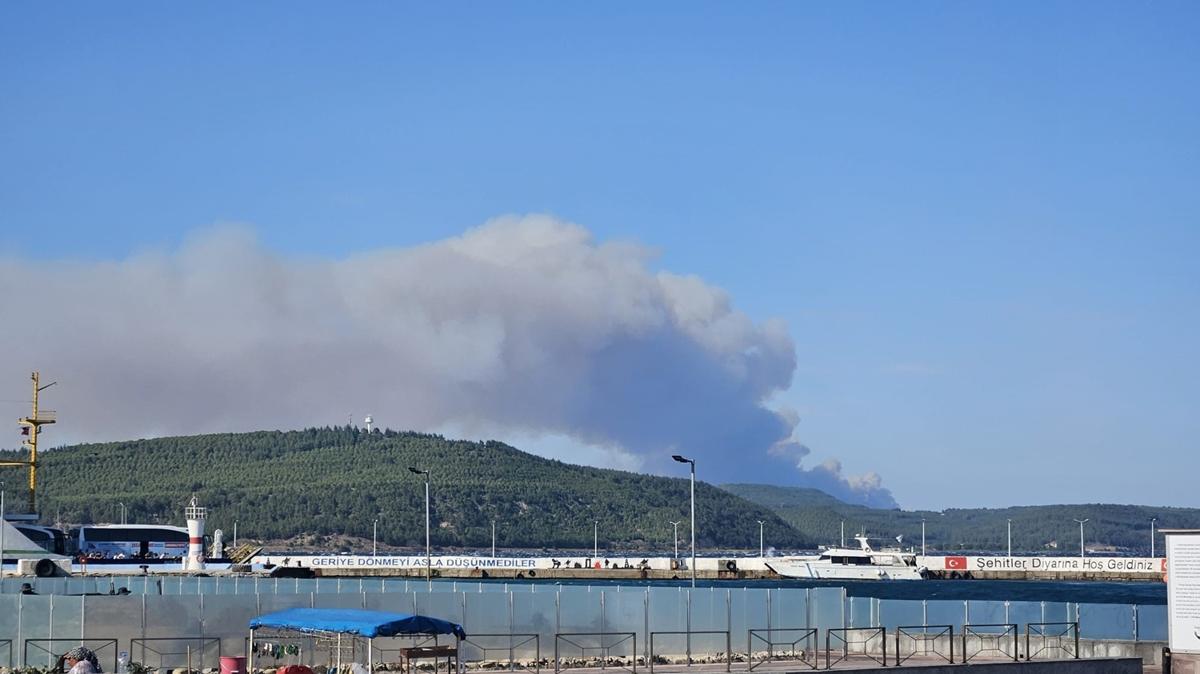 anakkale ve Sinop'ta yangn: Alevlerle mcadele balad