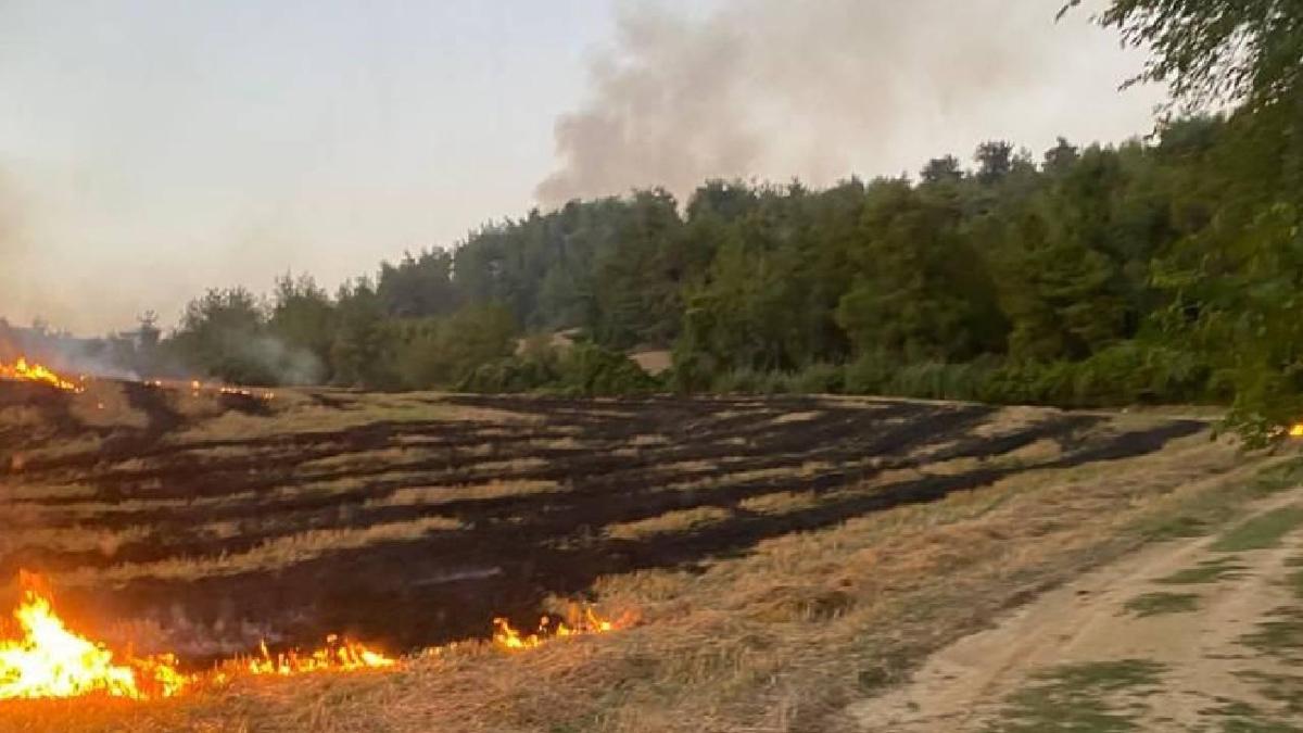 Adana'da orman yangn: Ekipler havadan ve karadan mdahale ediyor