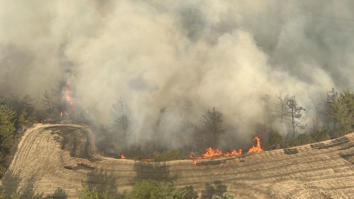 Adana'da orman yangn: Ekipler havadan ve karadan mdahale ediyor