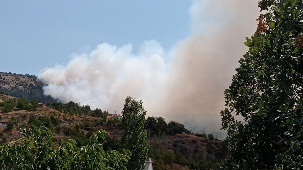 orum'da orman yangn! Mdahale balad