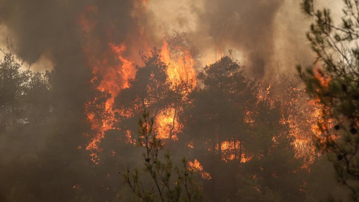 Piknik keyfi, orman felaketine dnyor: Antalya yangnlarnn yars mangal ateinden kaynaklanyor