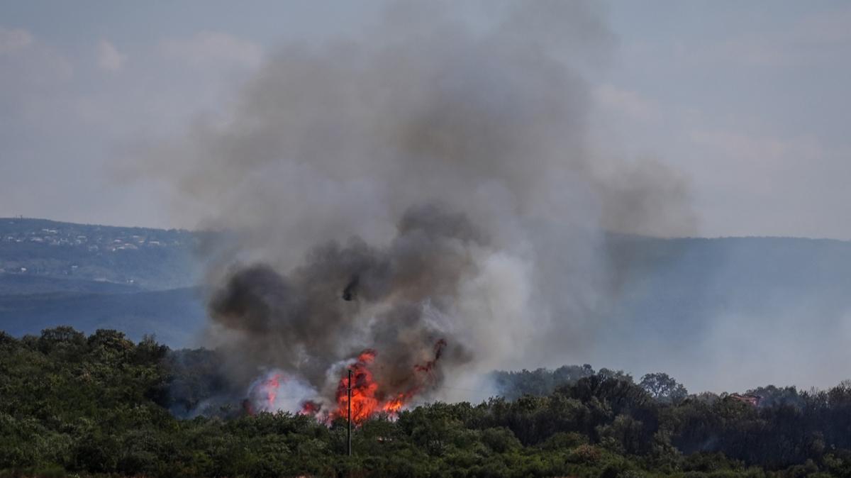 Bursa'da orman yangn: Havadan ve karadan mdahale balad