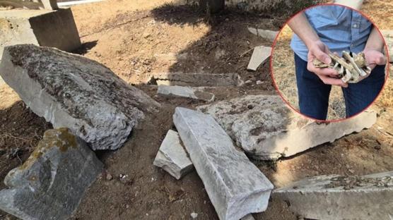 Tarihi kabir talan edildi: Ayakta kalan son eyh mezaryd
