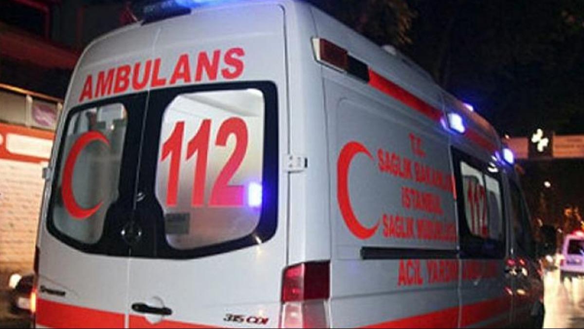 anlurfa'da elektrik direinde facia: Akma kaplp can verdi