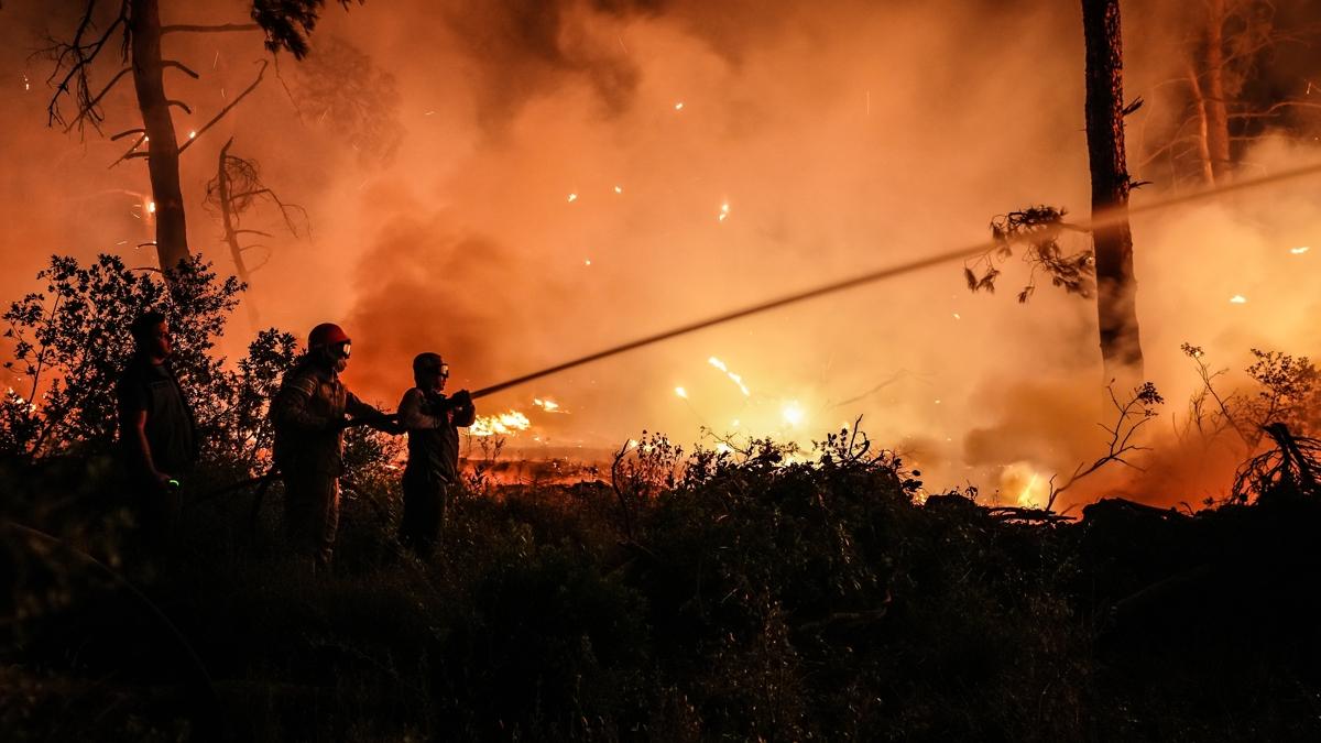 anakkale'den sevindirici haber: Kontrol altna alnd