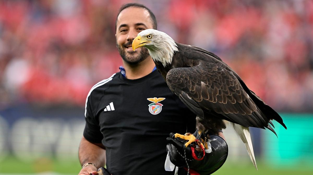 Benfica - Fenerbahe ma ncesi kartal uuruldu