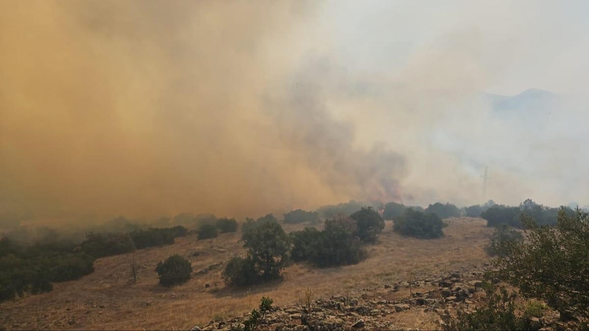 Balkesir'de orman yangn: Havadan ve karadan mdahale balad