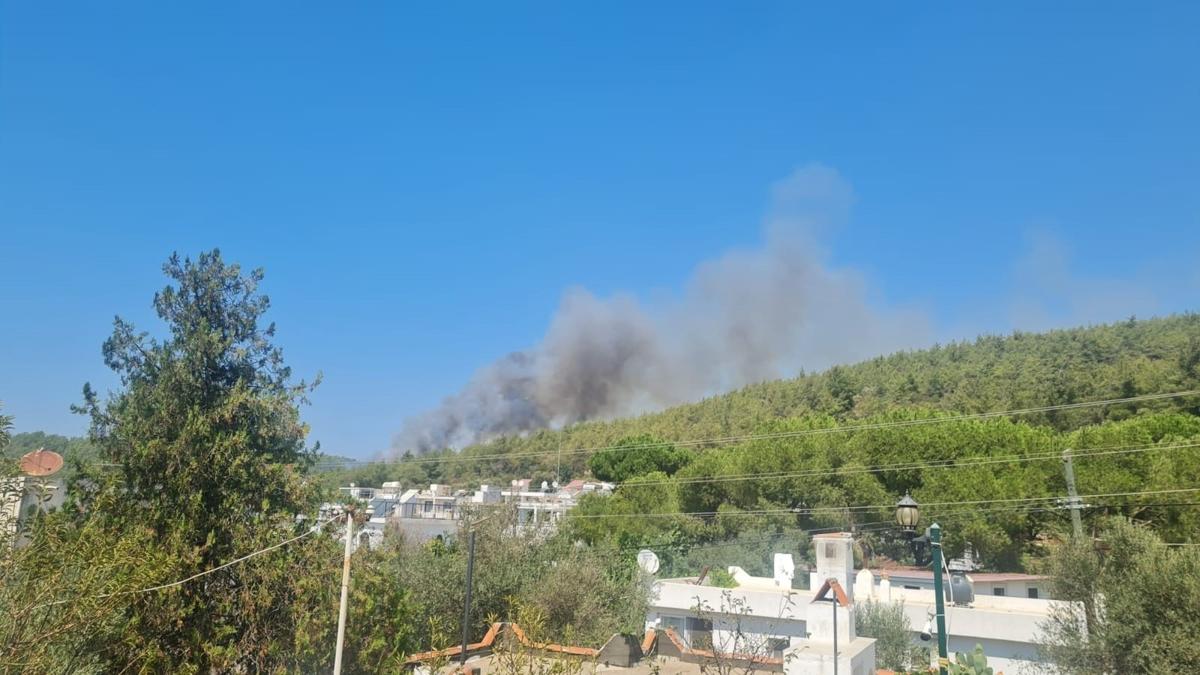 Bodrum'da orman yangn