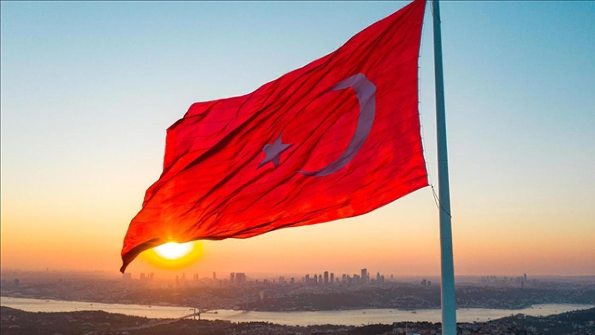 Trkiye'nin sporda altn a! DMM: Sporda planl ve kalc yatrmlarmzn meyvesini topluyoruz