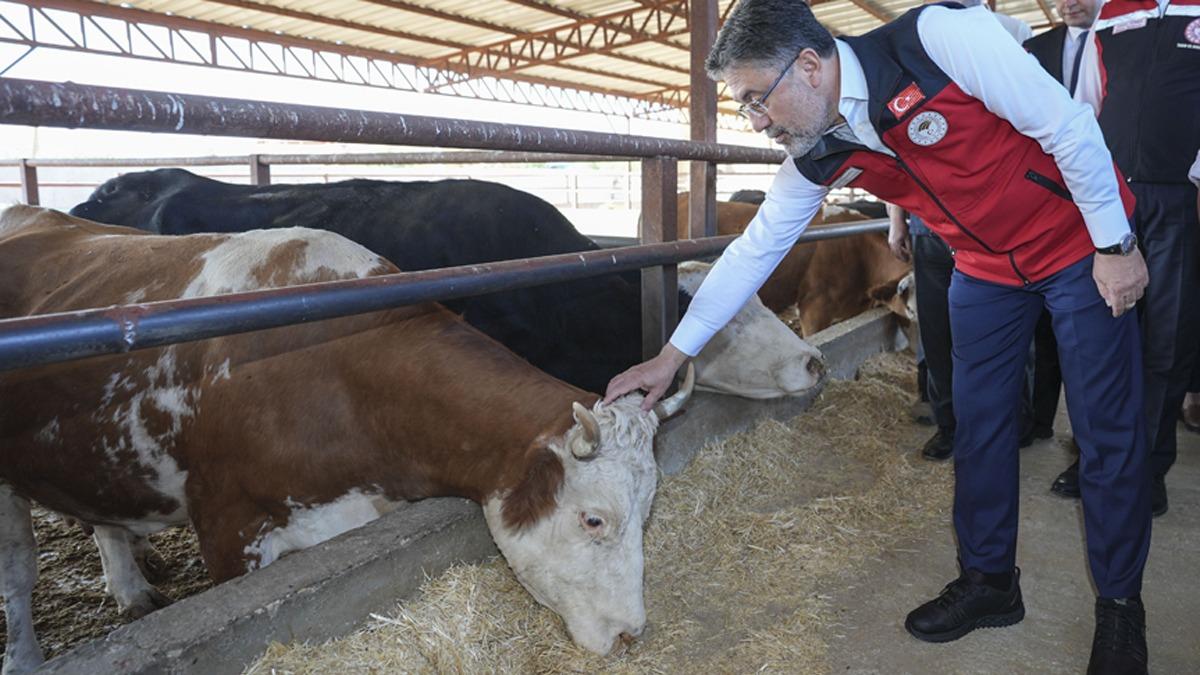Bakan Yumakl: Hayvan pazarlar 81 ilimizde alacak