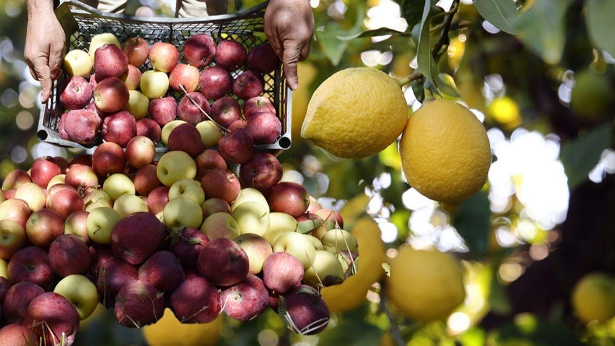 Fiyat dalgalanmalar nlenecek: Elma ve limon ihracat kontrol altnda