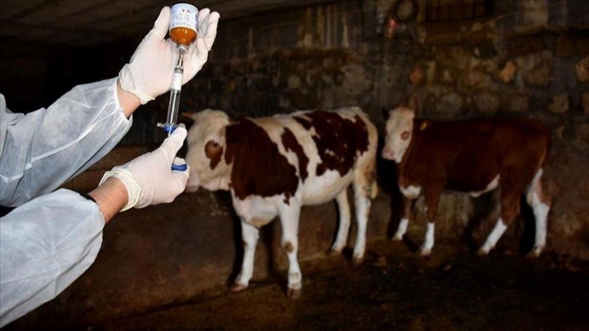 Trkiye SAT-1'e kar seferber oldu: 15 milyon doz a sahaya srld