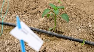 Batı Akdeniz'den 167 ülkeye ihracat: Yüzde 136,65 artış