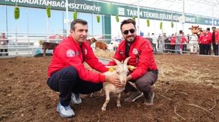 Süt sağım robotlarından VR deneyimine: Akıllı tarım teknolojileri TEKNOFEST'te