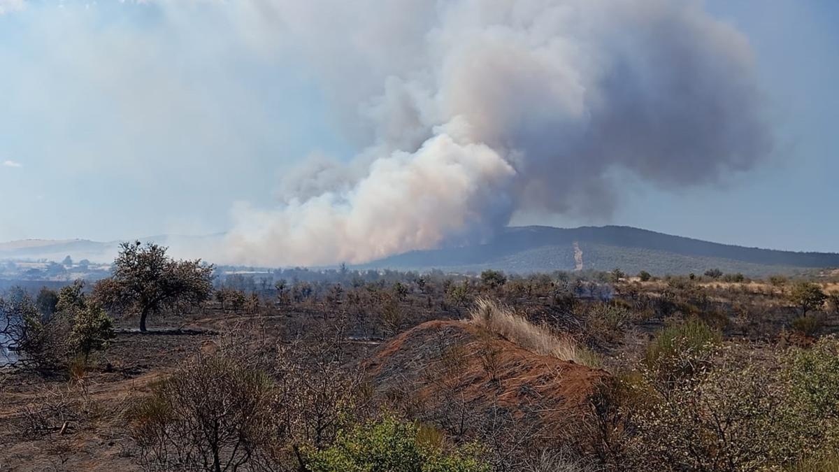 anakkale'de tarm arazisinde yangn