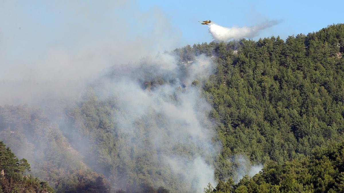 Alevler rzgarn etkisiyle yayld! ki ilde orman yangn