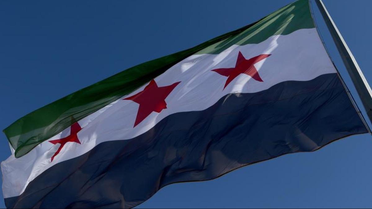 Suriye bayra, Washington'da gndere ekildi 