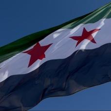 Suriye bayra��, Washington'da g�ndere �ekildi