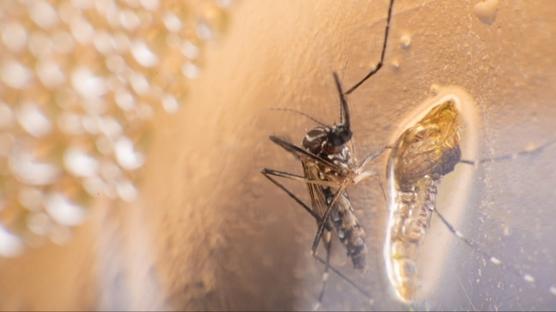 Çin'de virüs yayılıyor: Vaka sayısı 1700'ü aştı