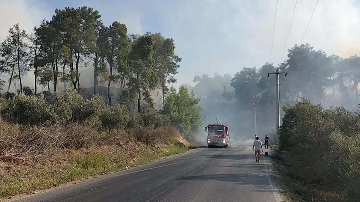 Manavgat'taki yangn kontrol altnda 