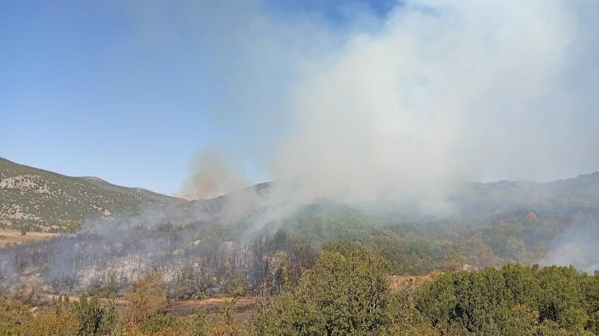 Burdur'daki yangn kontrol altnda 