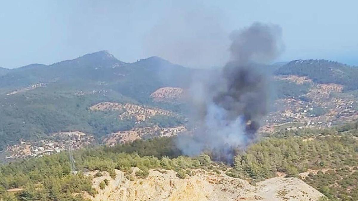 Bursa'dan alevler ykseldi! Mdahale ediliyor