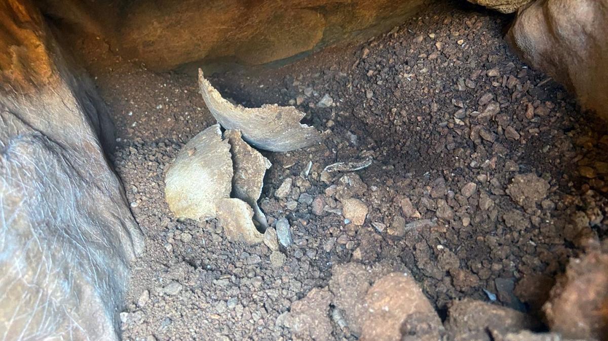 Mula'da ilgin olay! Su deposu almasnda tarihi eser bulundu