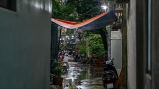 Vietnam'ı Bualoi Tayfunu vurdu! Ölü sayısı 49'a yükseldi