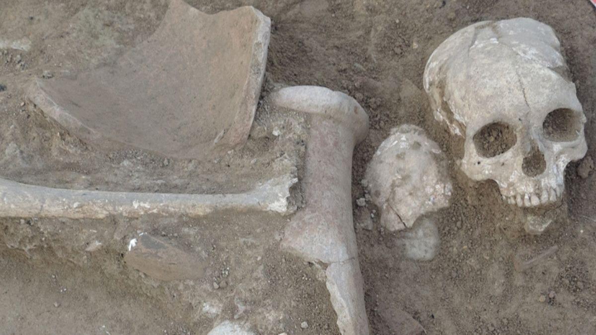 Toprak annca ortaya kt! Yozgat'ta korkutan buluntu