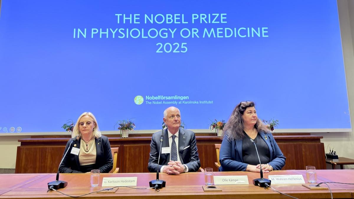 2025 Nobel Tp dl'nn sahipleri belli oldu 