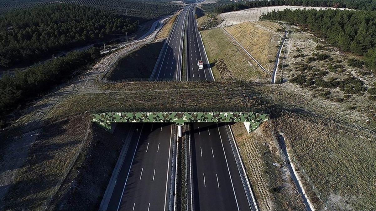 Trkiye'nin 11. kara yolu ekolojik kprsnn yl sonunda tamamlanmas hedefleniyor