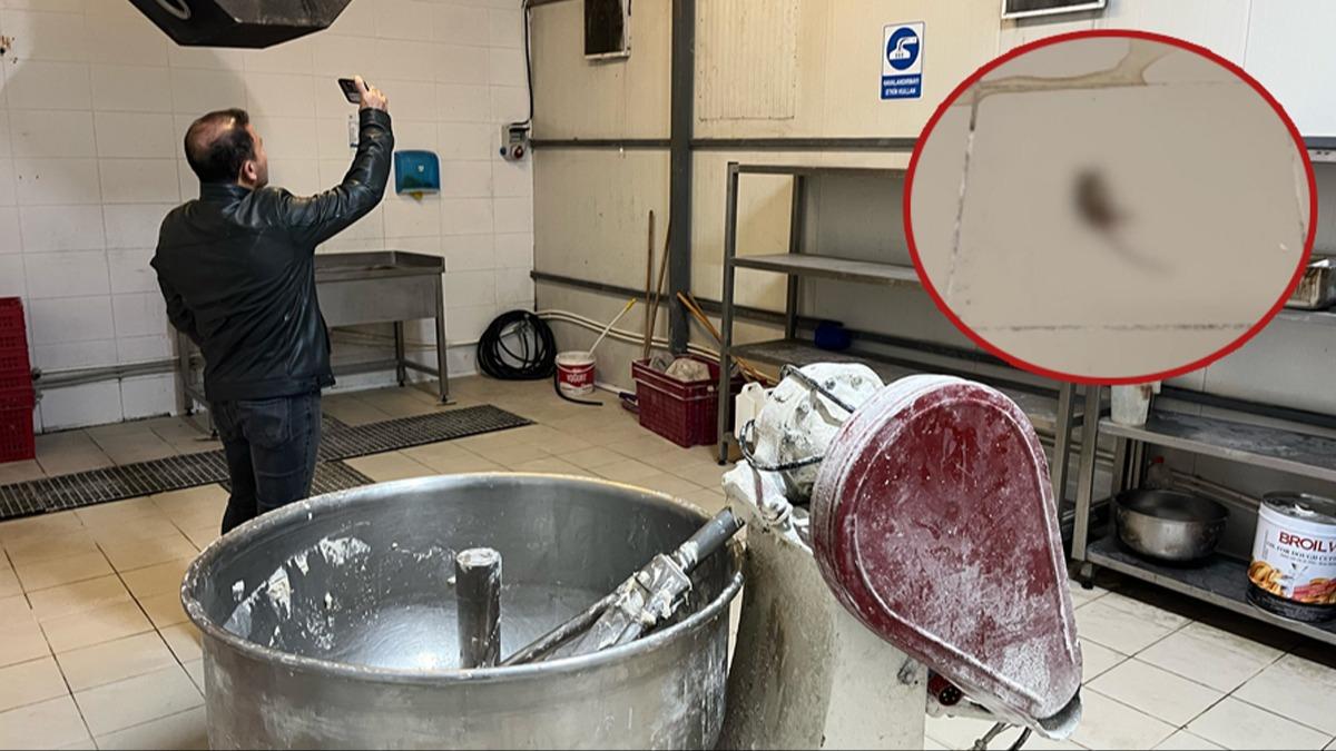 CHP'li belediyeye ait ekmek fabrikasnda fare skandal