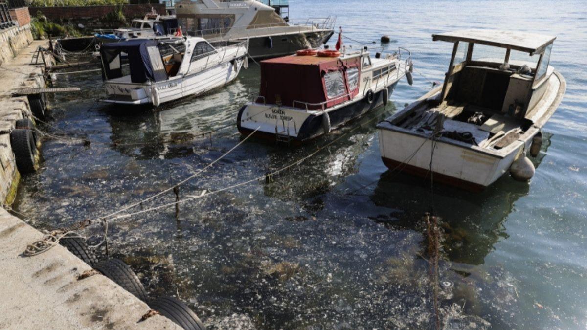 Balklara devletten destek! Msilaj grlen yerlerde geerli