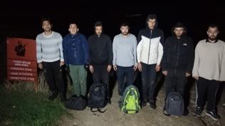 Yasa dışı yollarla yurda giren düzensiz göçmenler yakalandı