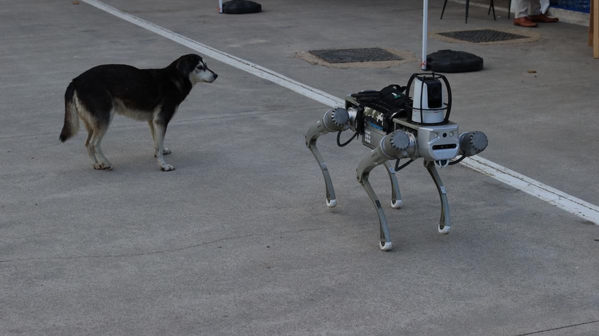 Teknolojide yeni dnem! Milli robot kpek PROTEO sahaya iniyor