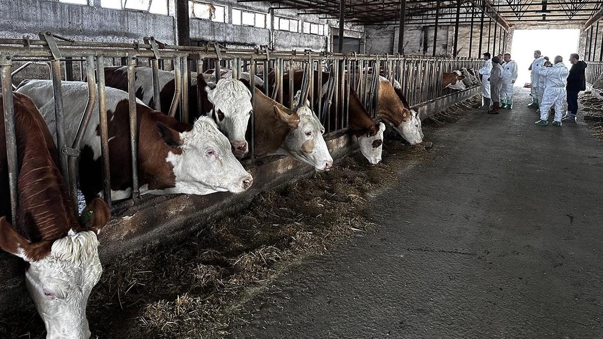 Denizli'de ''ap'' alarm: 17 mahalle karantinada
