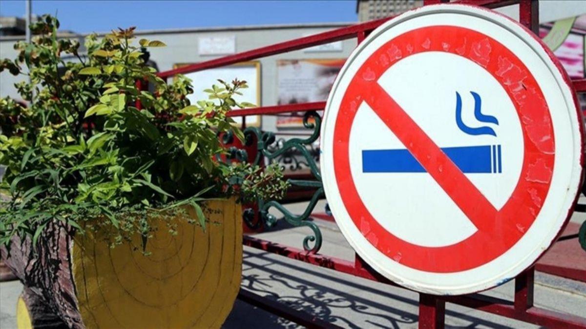 stanbul'da ''Dumansz Trkiye'' kapsamnda denetimler sklat! letmelere 229 milyon lira ceza
