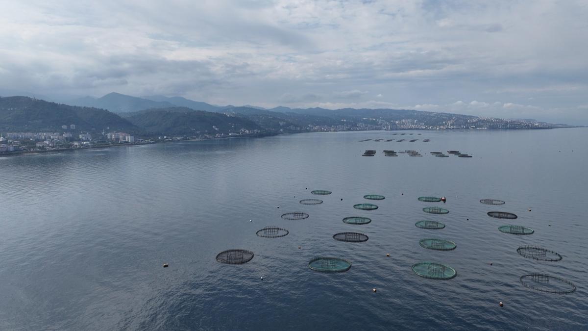 Karadeniz'den dnya pazarna 39 bin ton su rn! Rusya, Yunanistan ve Japonya balca alclar oldu