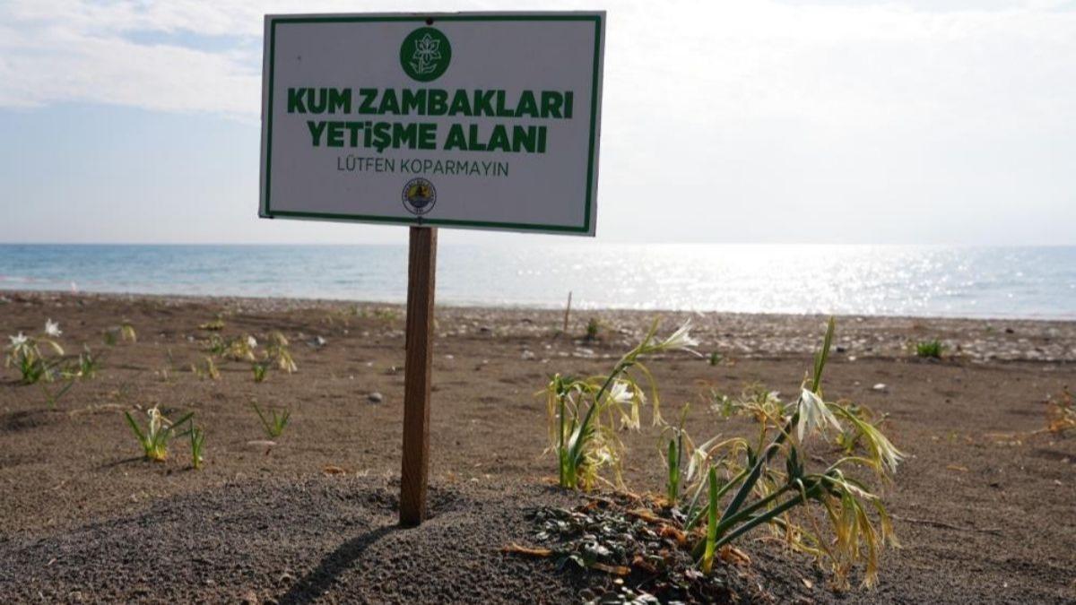 Cezas dudak uuklatyor! Doann zarafetine sk koruma