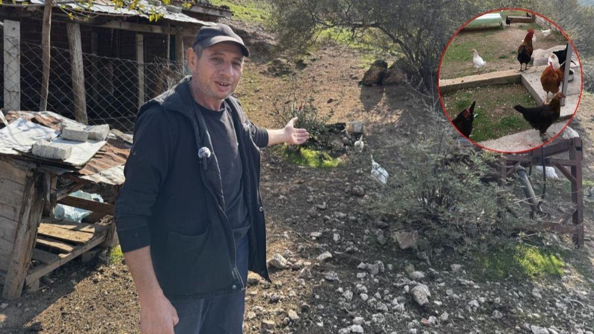 CMER'e yaplan ikayet pes dedirtti! Kyller akn